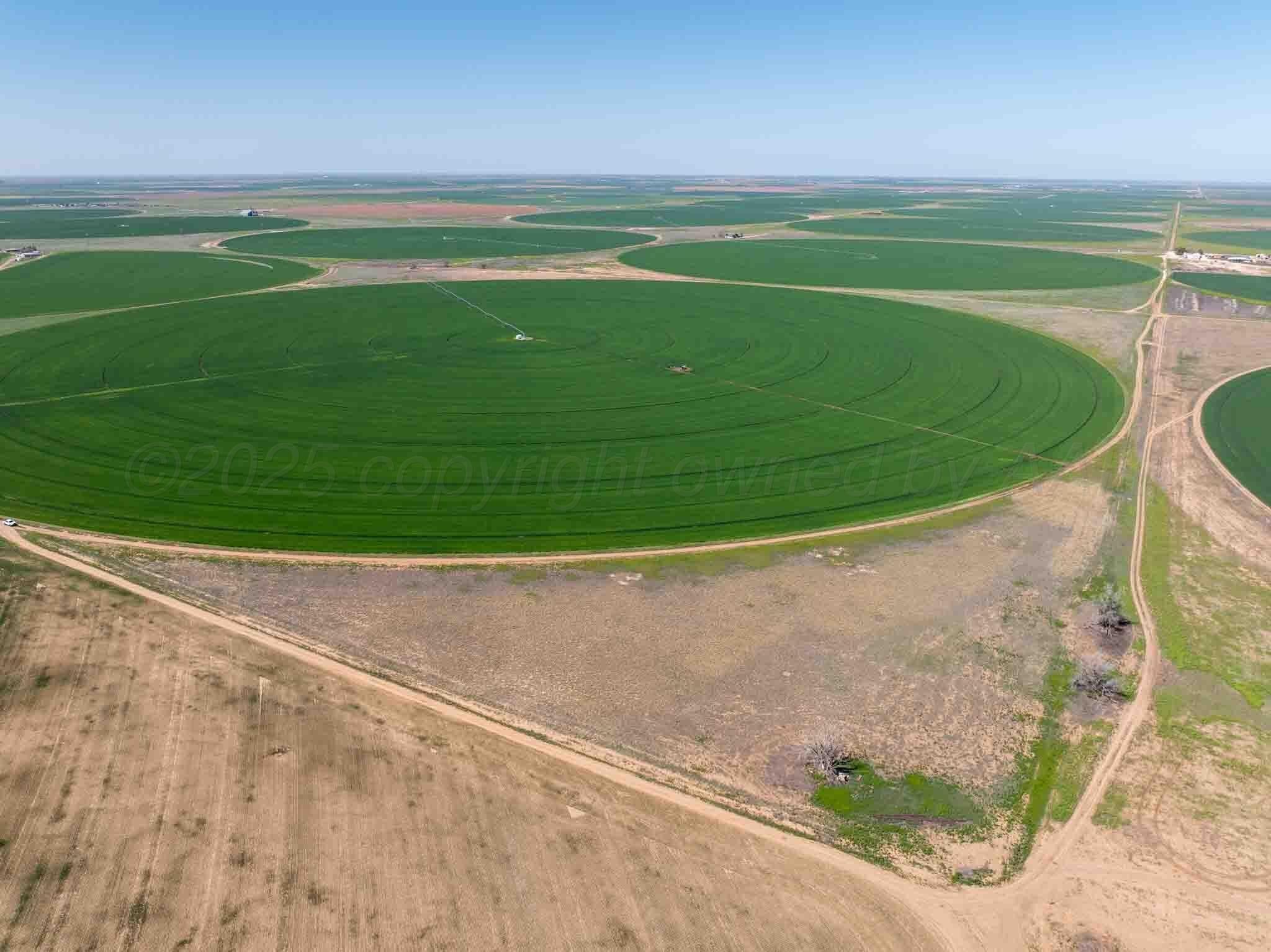1,693.16 acres in Castro County gallery image 3