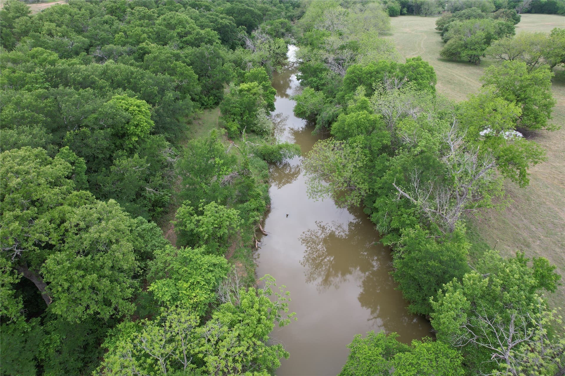 217 acres in Comanche County - photo 11
