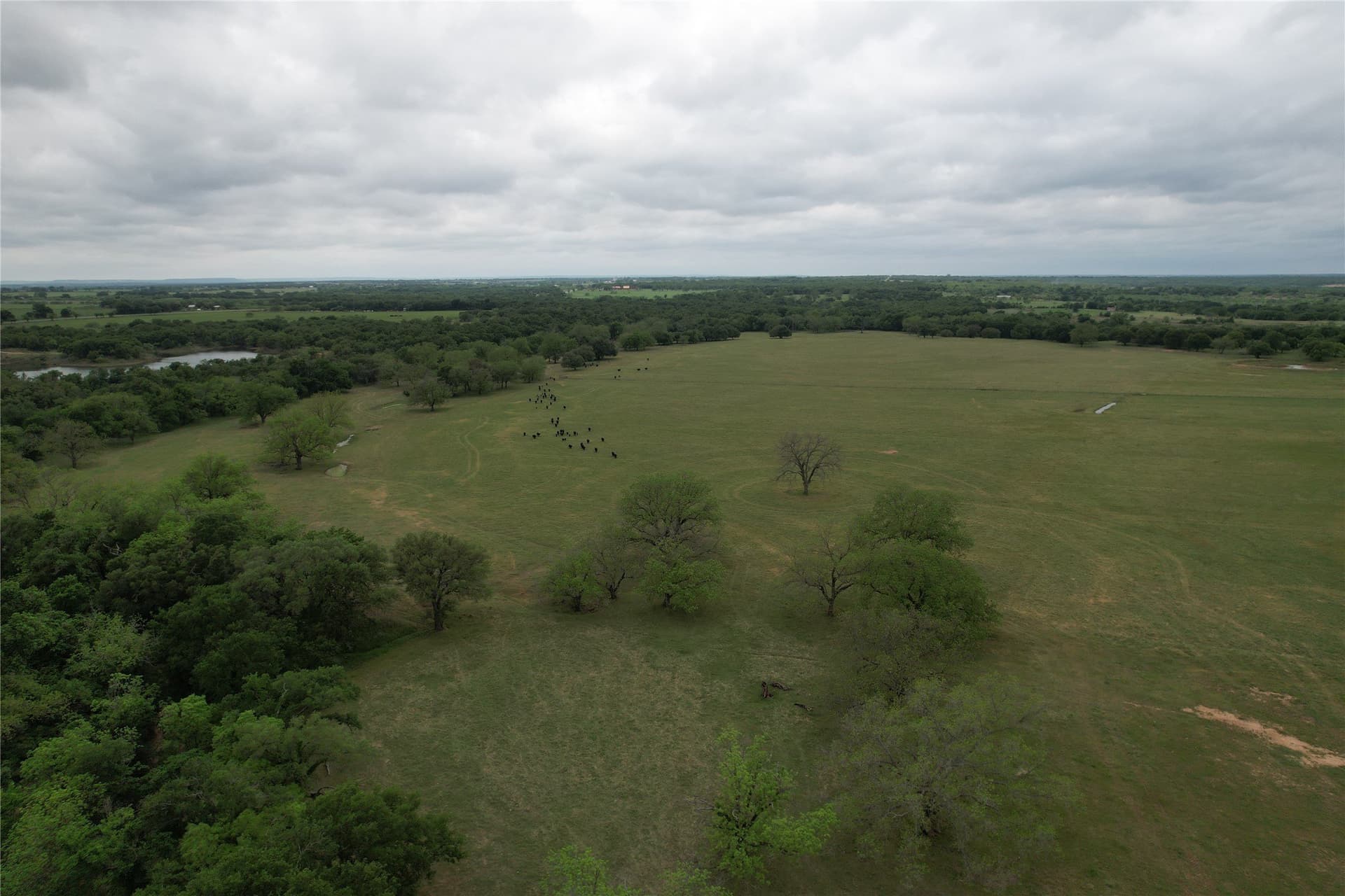 217 acres in Comanche County - photo 14
