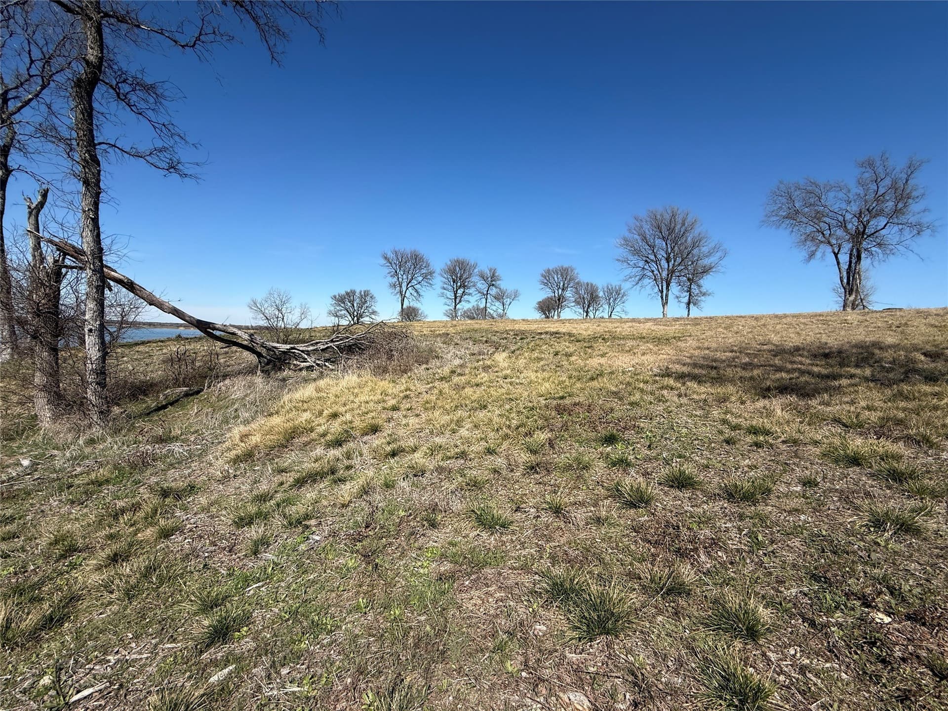 1.29 acres in Navarro County - photo 9