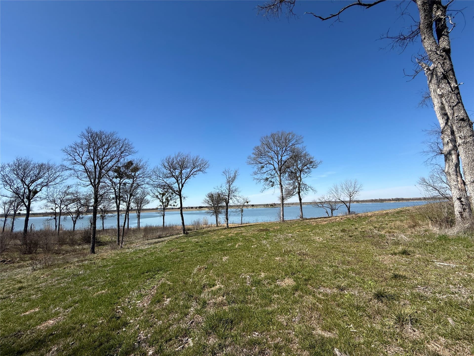1.29 acres in Navarro County - photo 14
