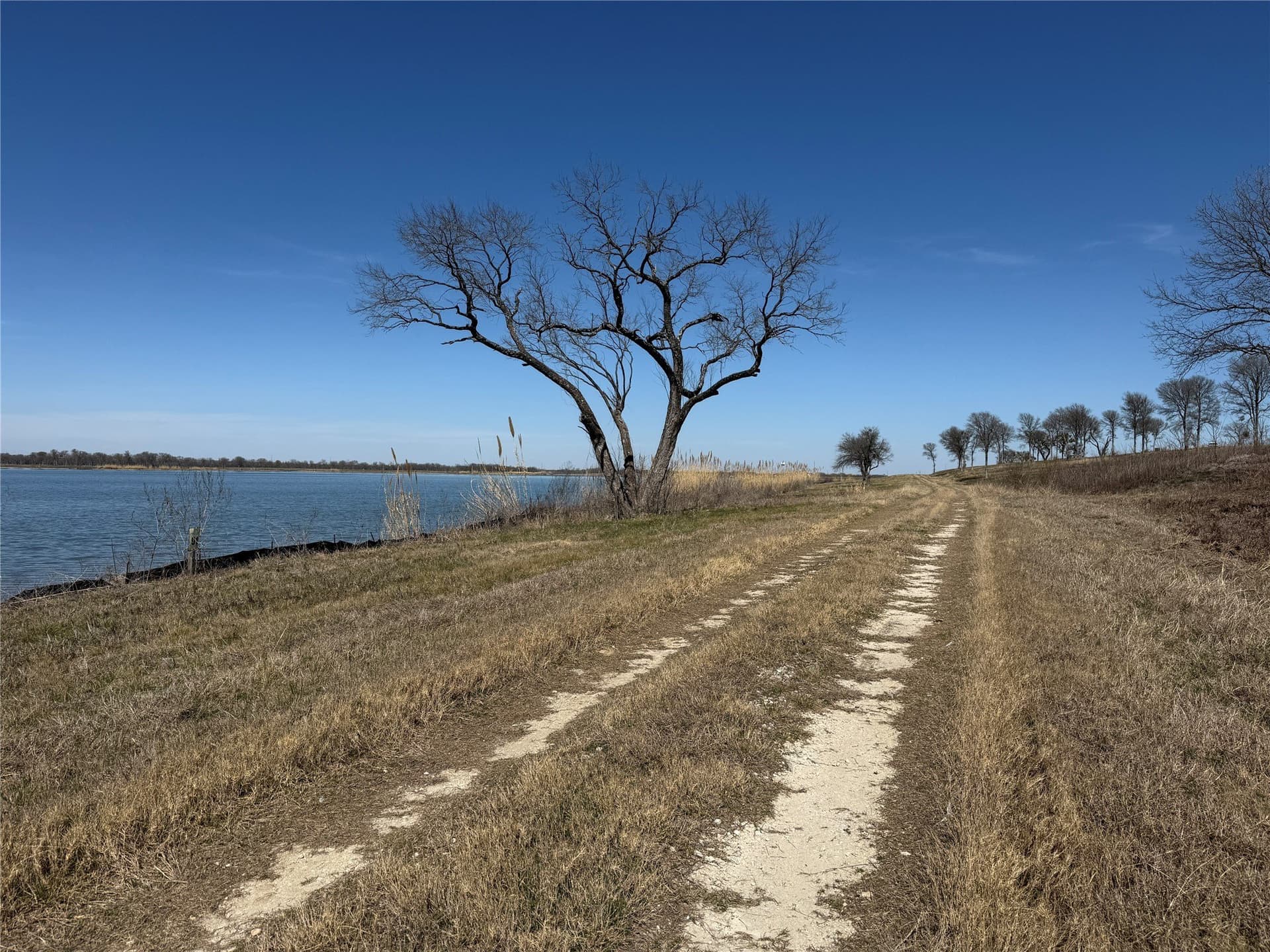 1.29 acres in Navarro County - photo 24