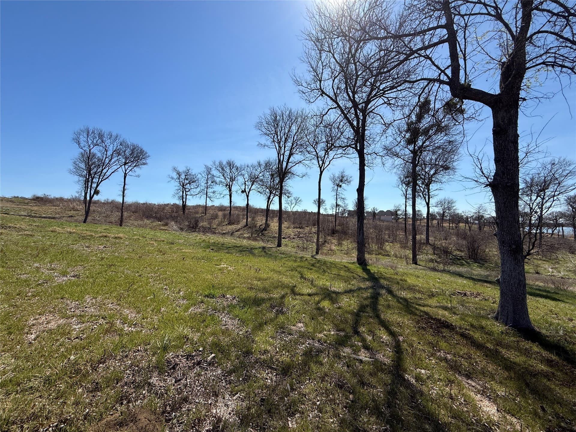 1.29 acres in Navarro County - photo 17