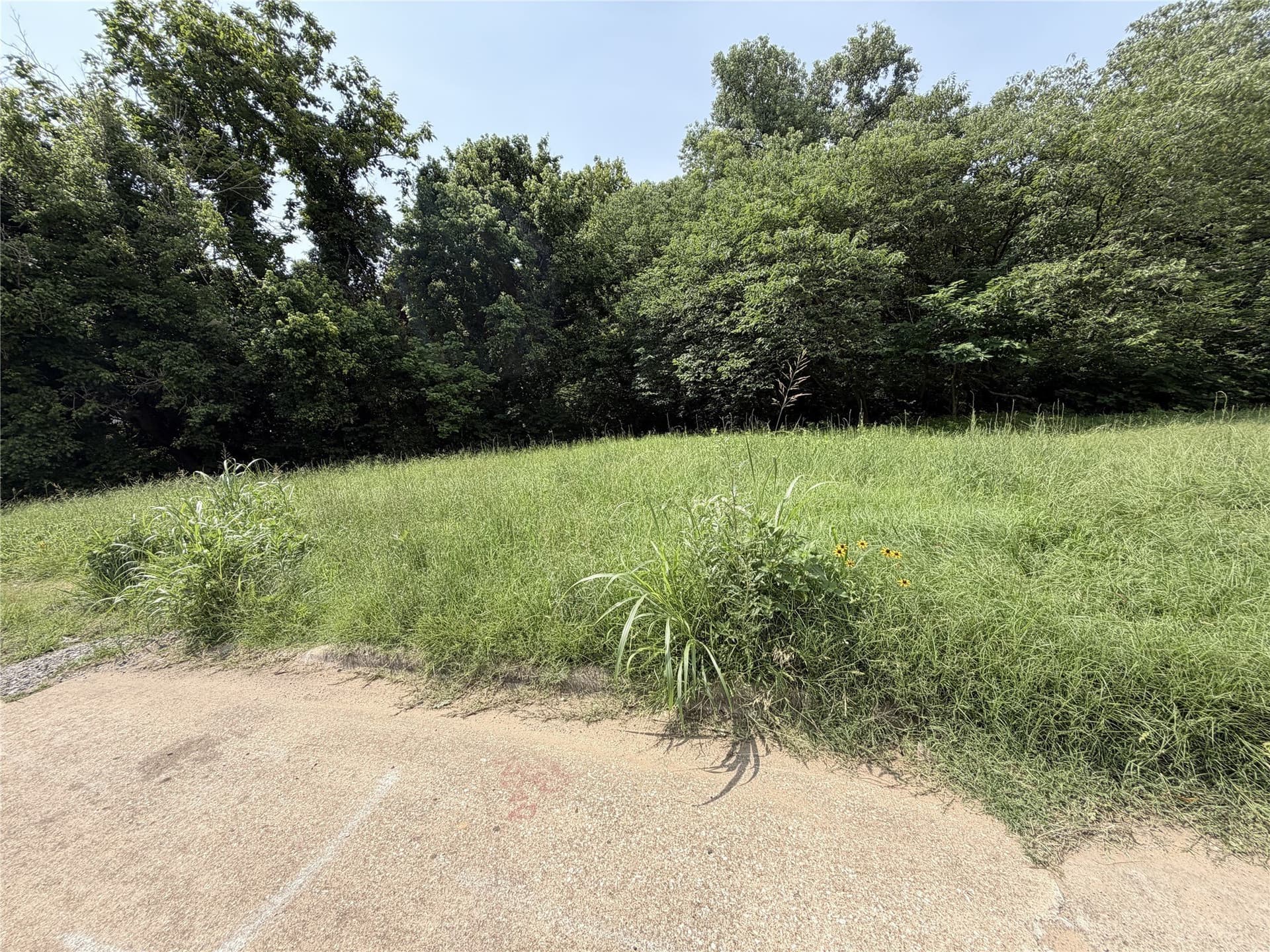 0.41 acres in Grayson County gallery image 4