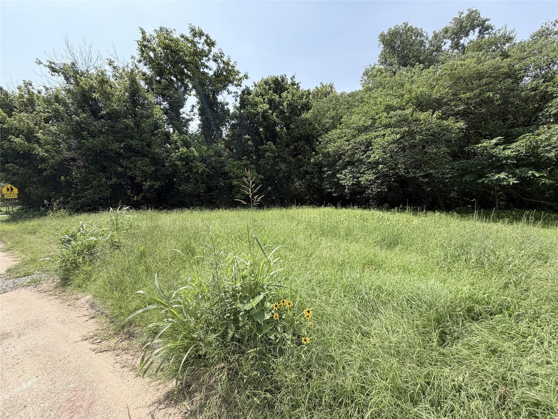 0.41 acres in Grayson County gallery image 2