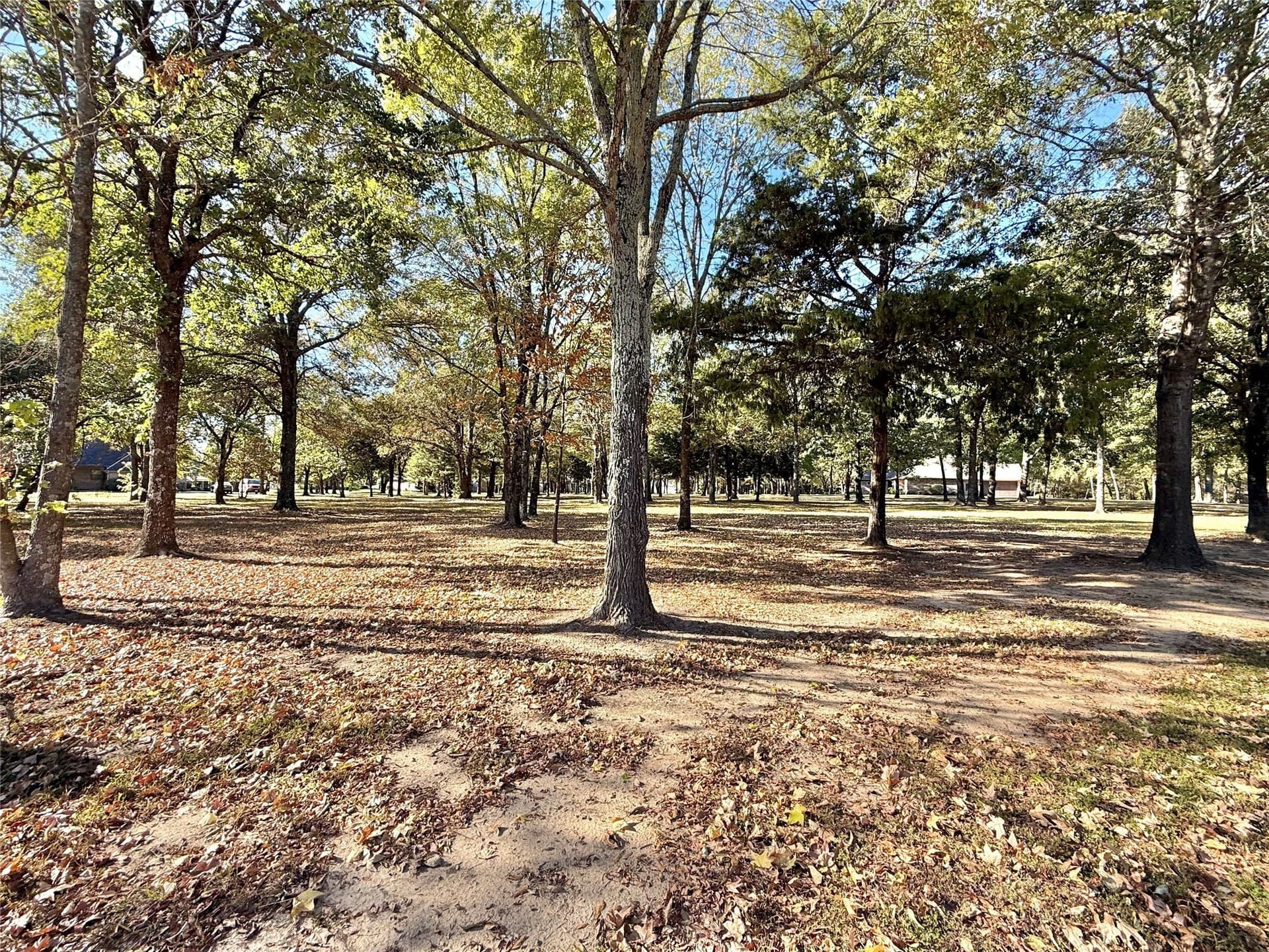 0.71 acres in Wood County - photo 10