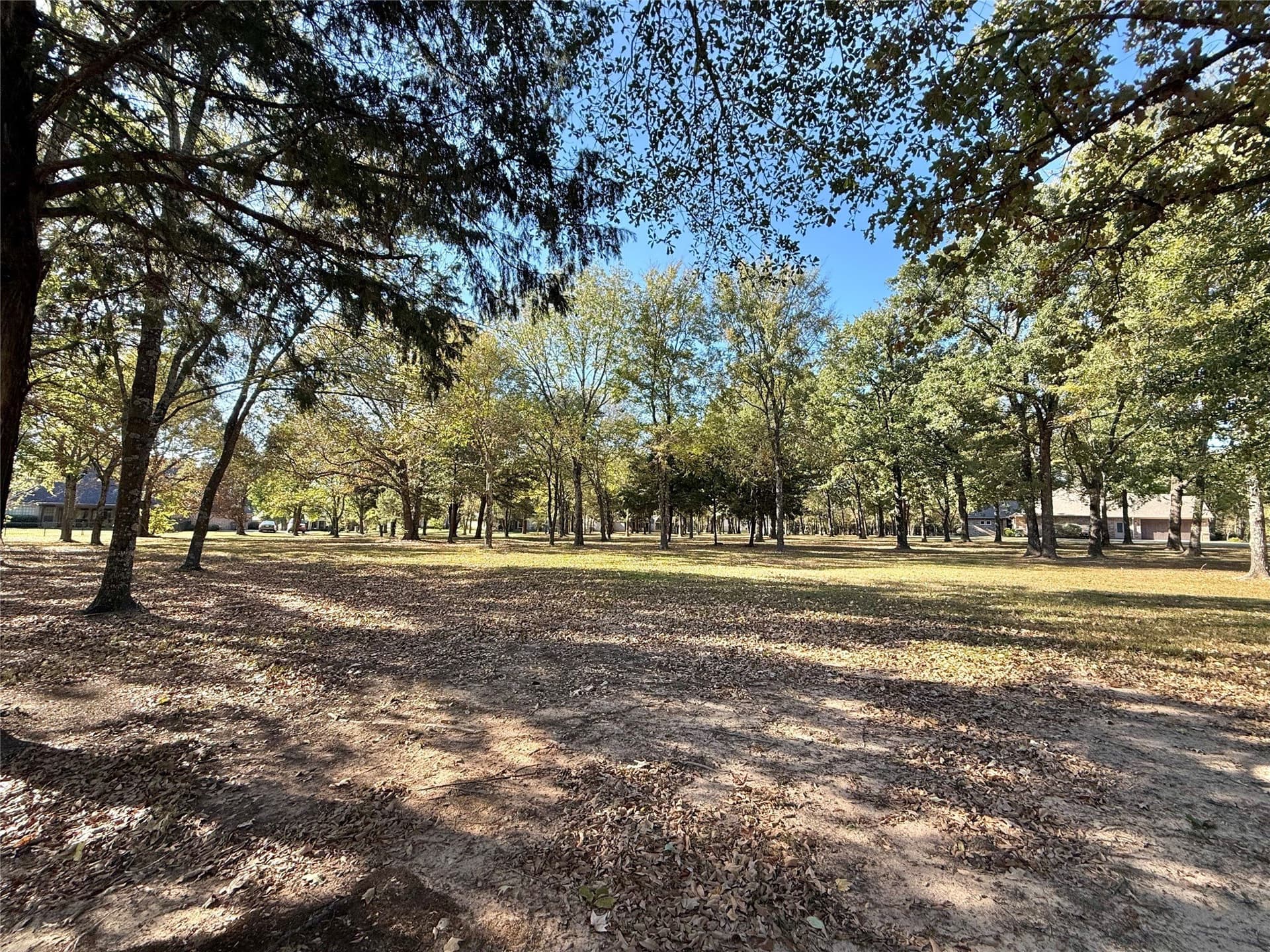 0.71 acres in Wood County - photo 7