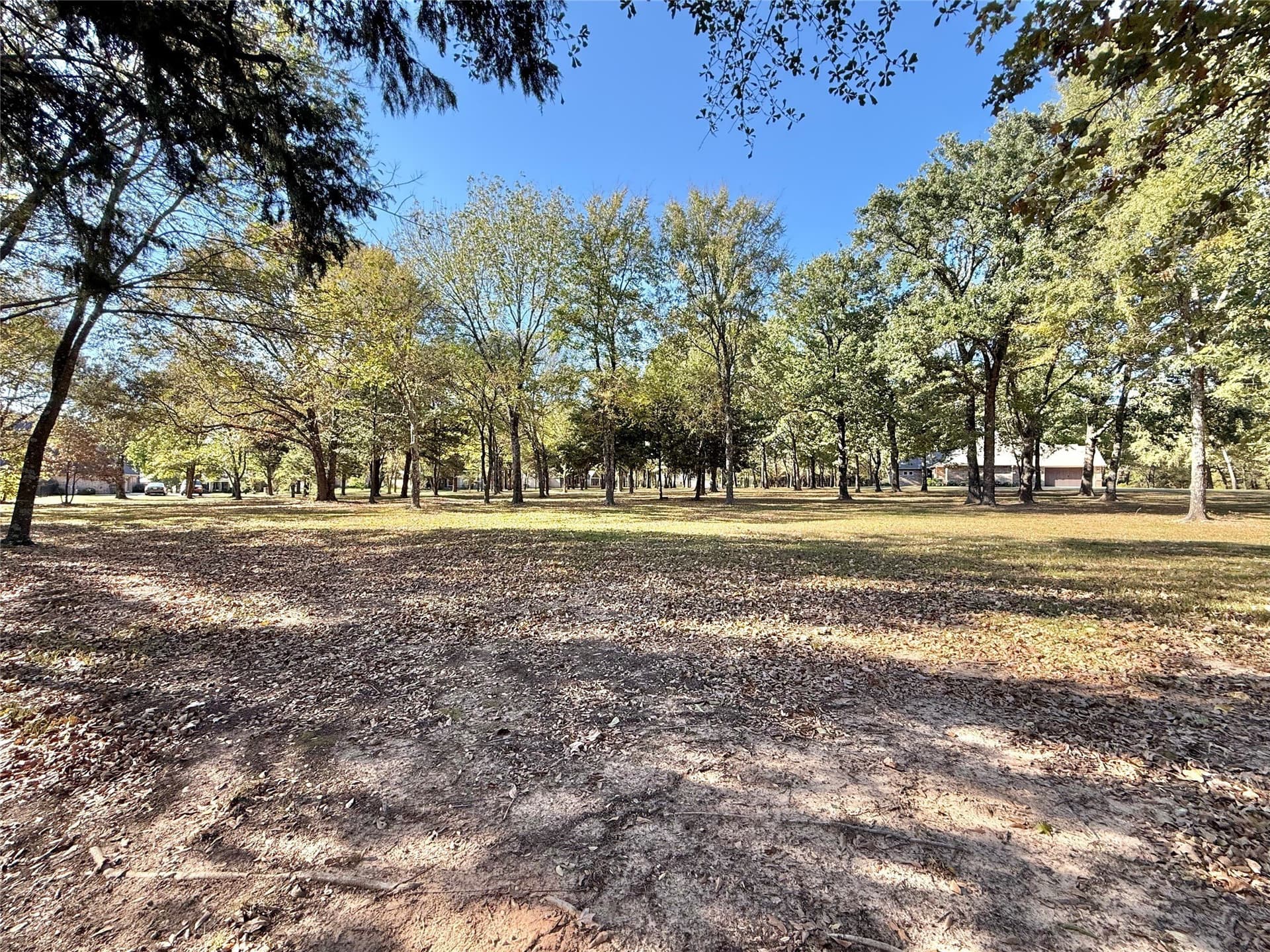 0.71 acres in Wood County - photo 6