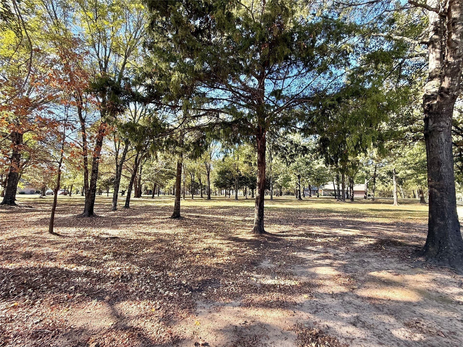 0.71 acres in Wood County - photo 8