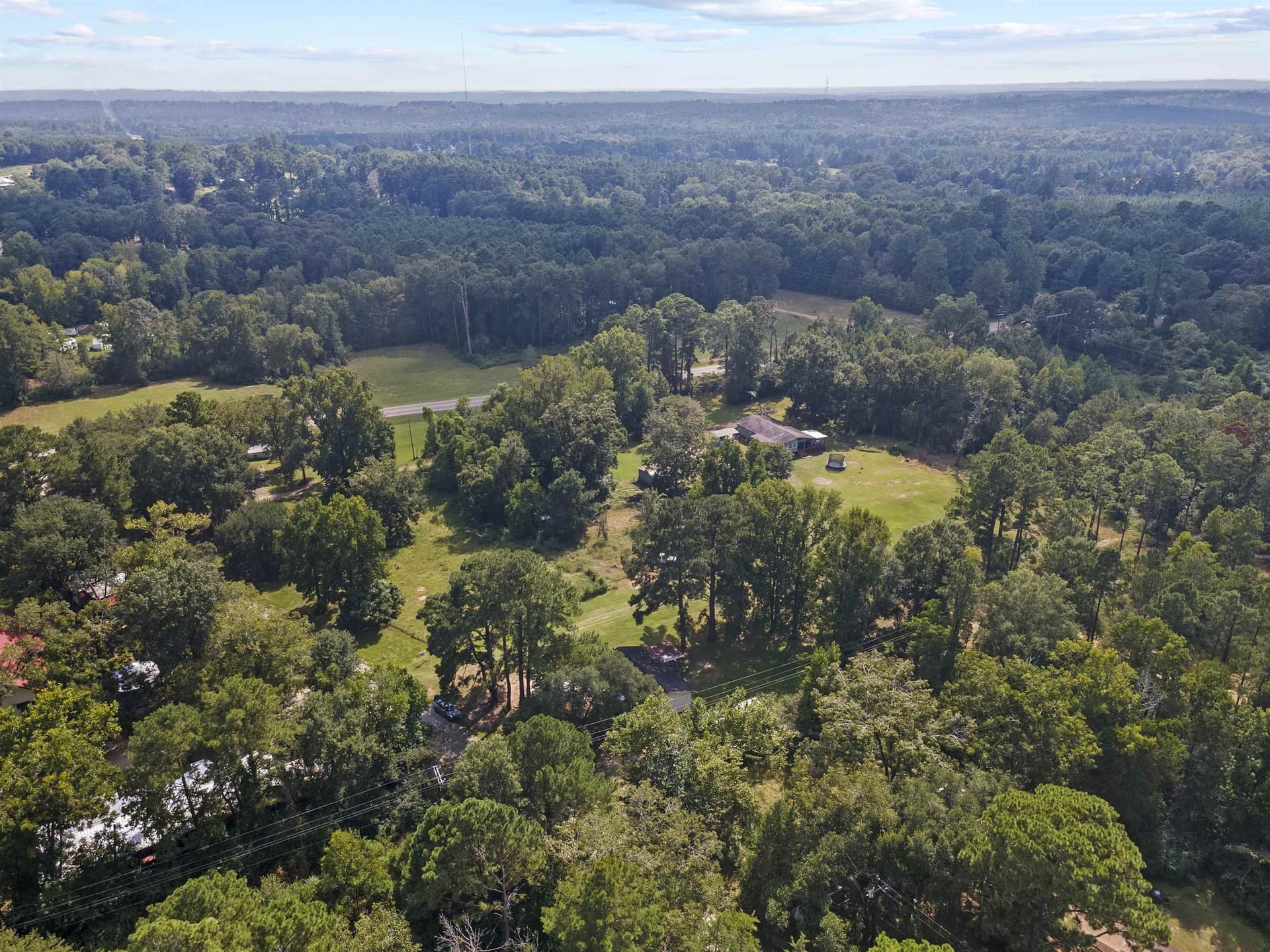 15 acres in Tyler County gallery image 4