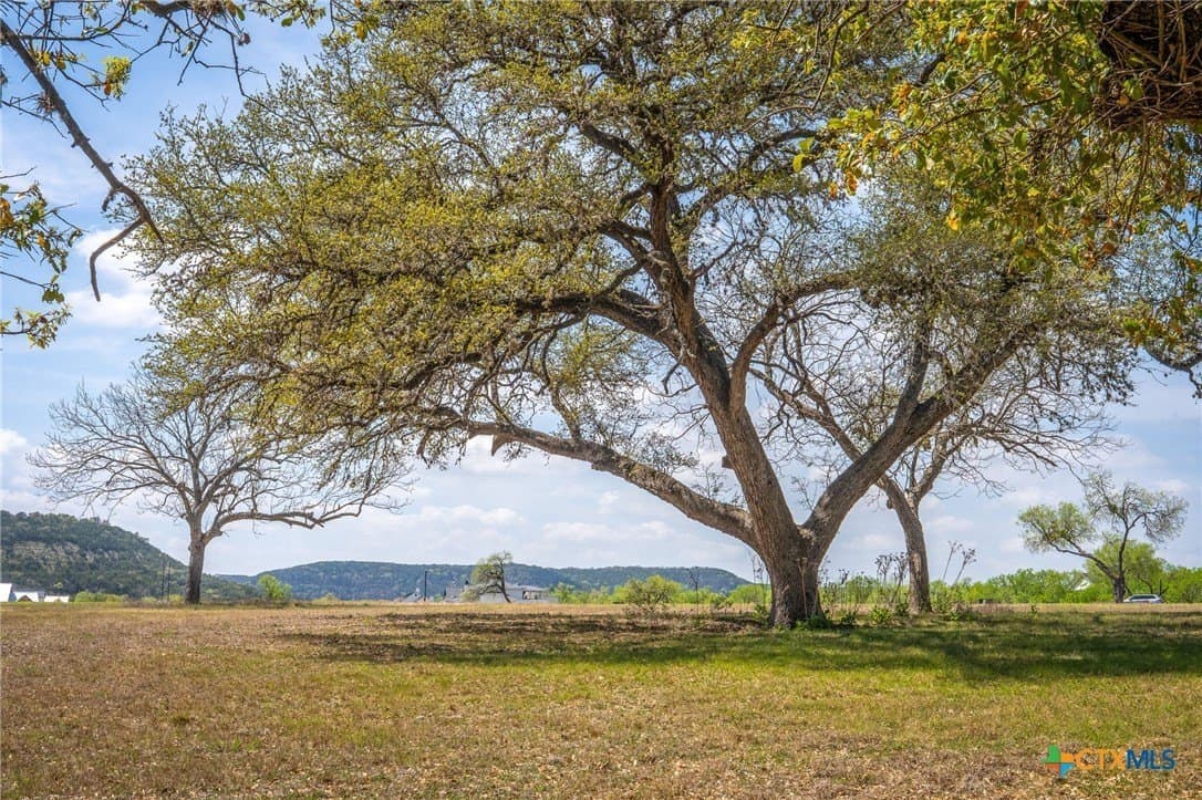 1.01 acres in Comal County - photo 8