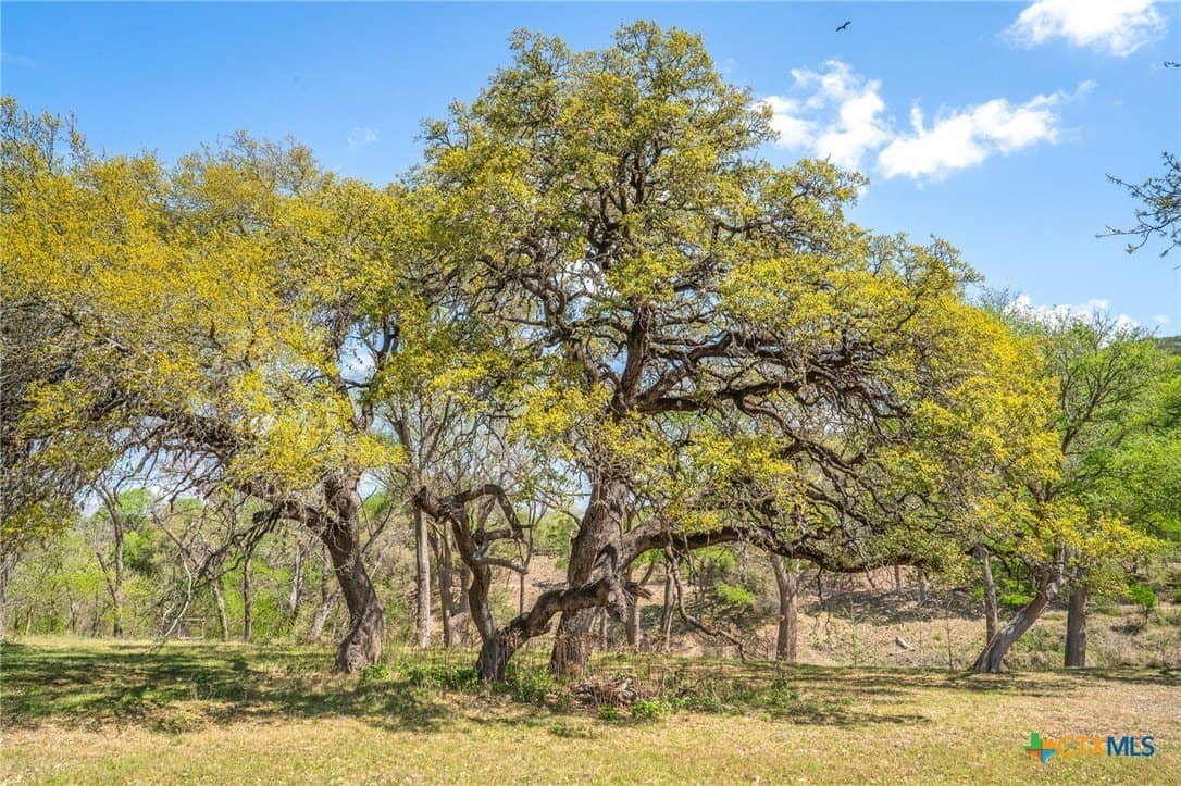 1.01 acres in Comal County - photo 9