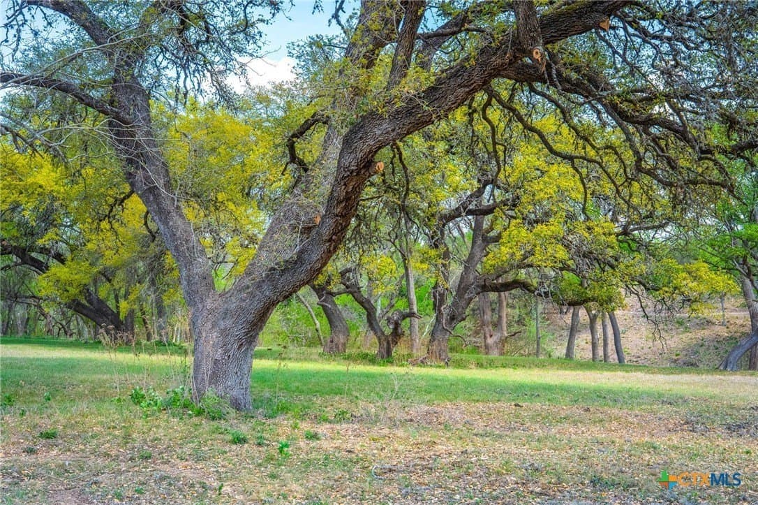 1.01 acres in Comal County - photo 7