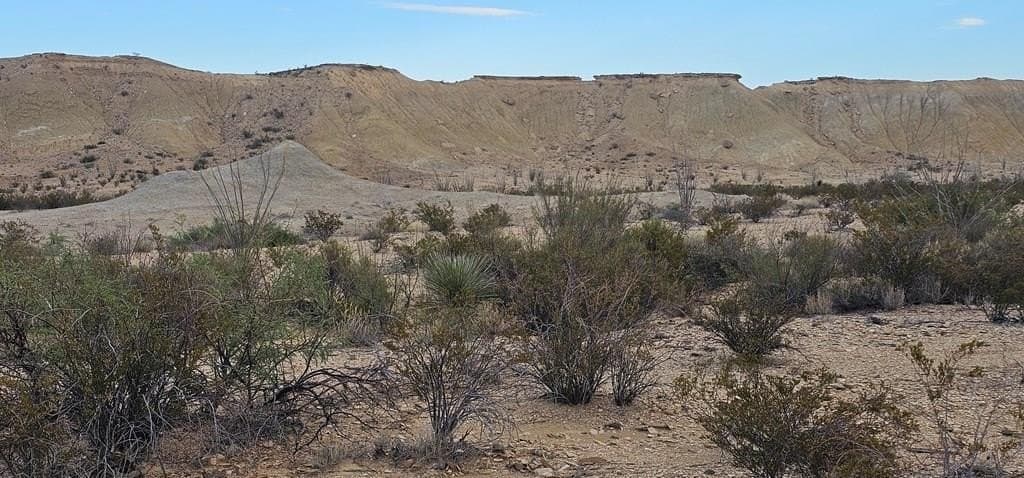 5 acres in Brewster County