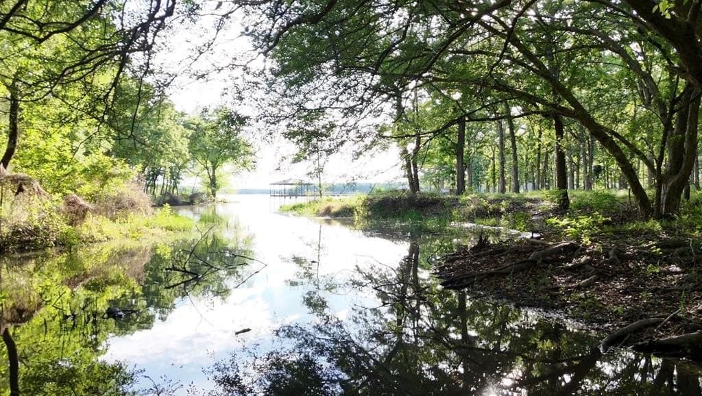 1 acres in Hunt County gallery image 3