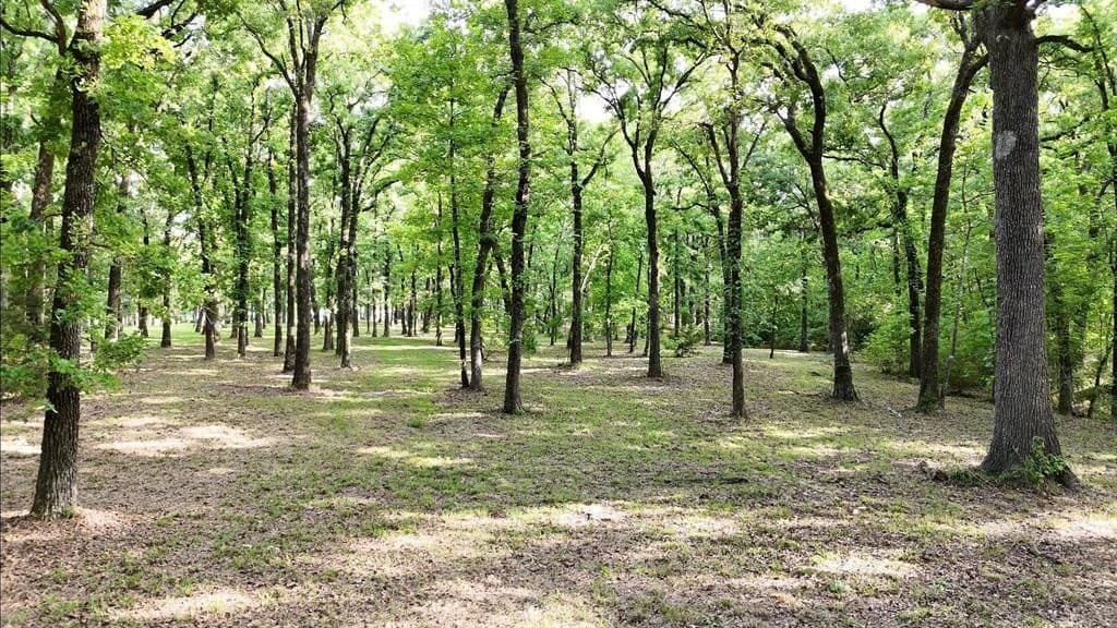 1 acres in Hunt County featured view