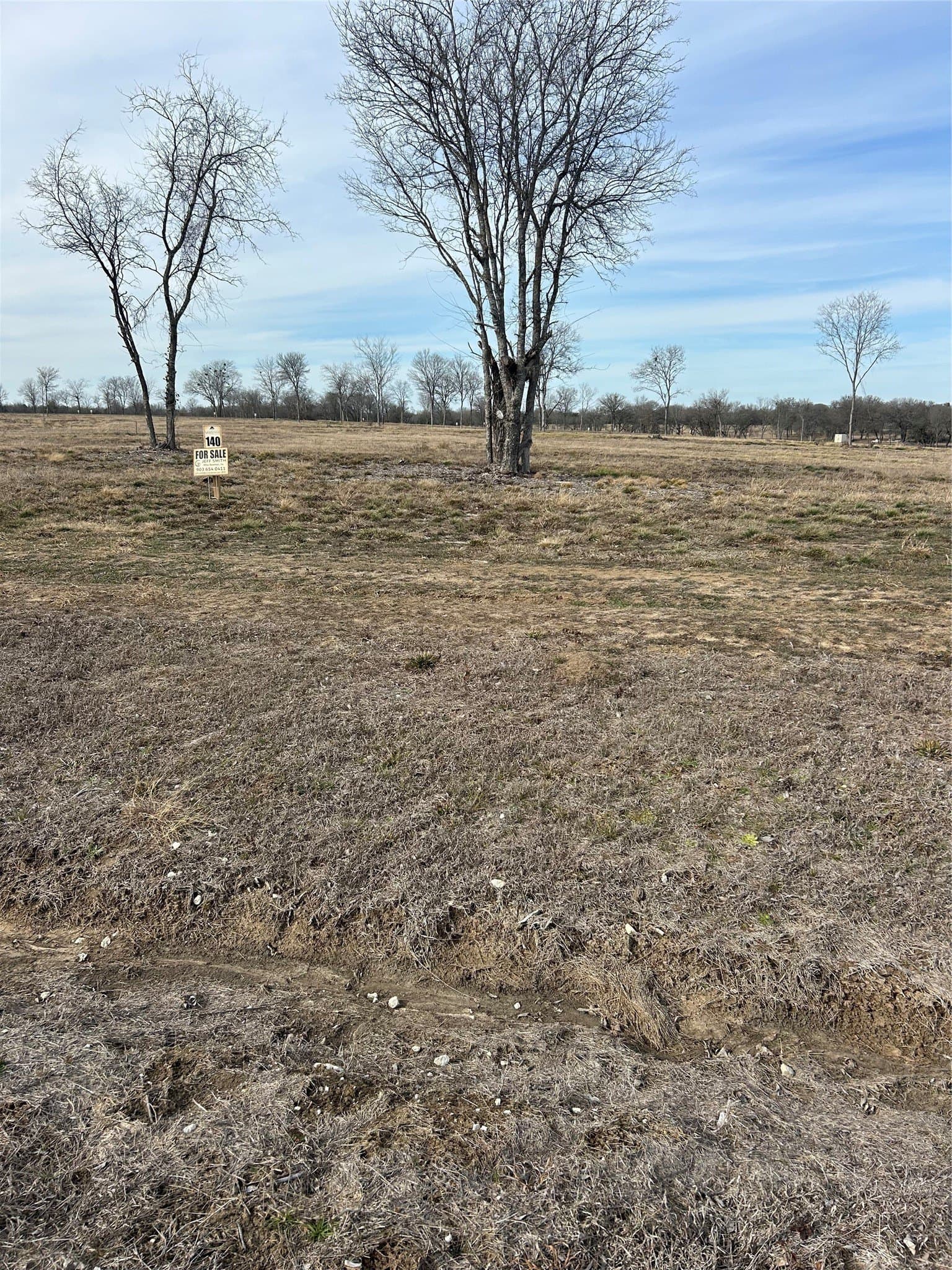 1.01 acres in Navarro County - photo 2