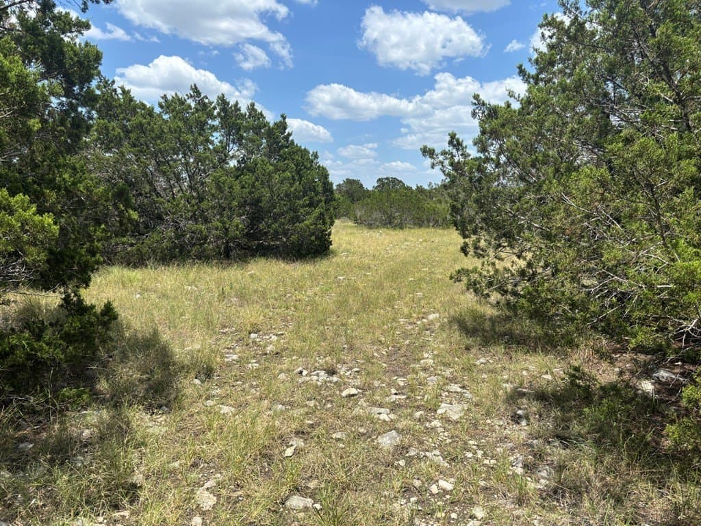 40 acres in Edwards County gallery image 4