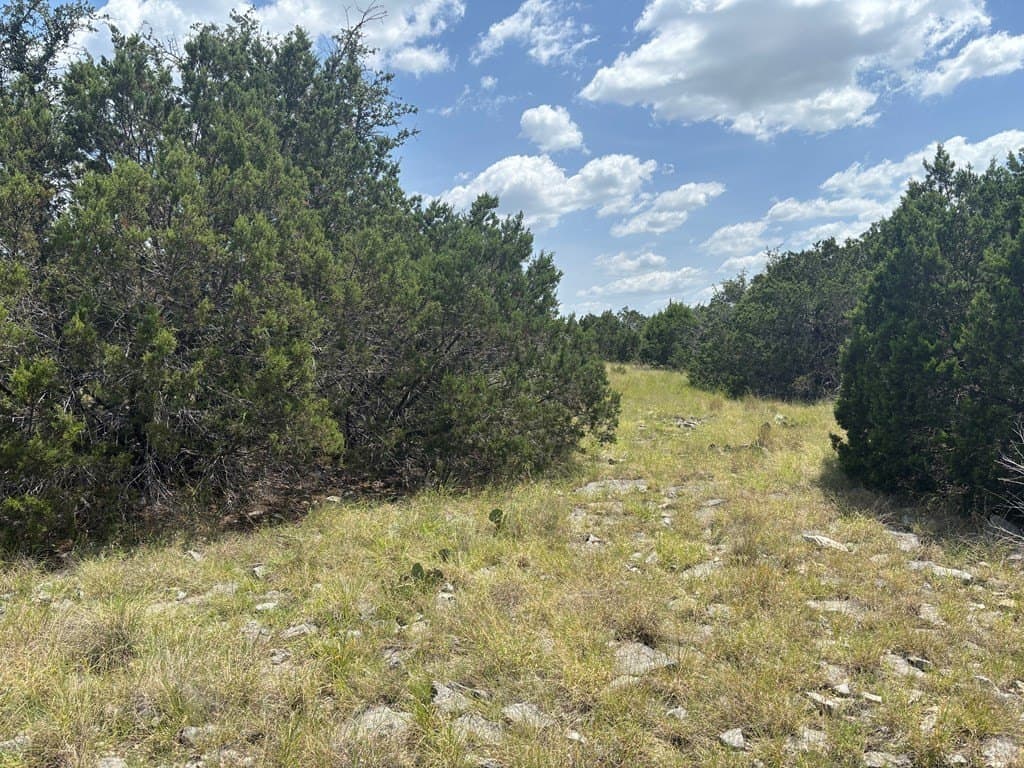 40 acres in Edwards County gallery image 3