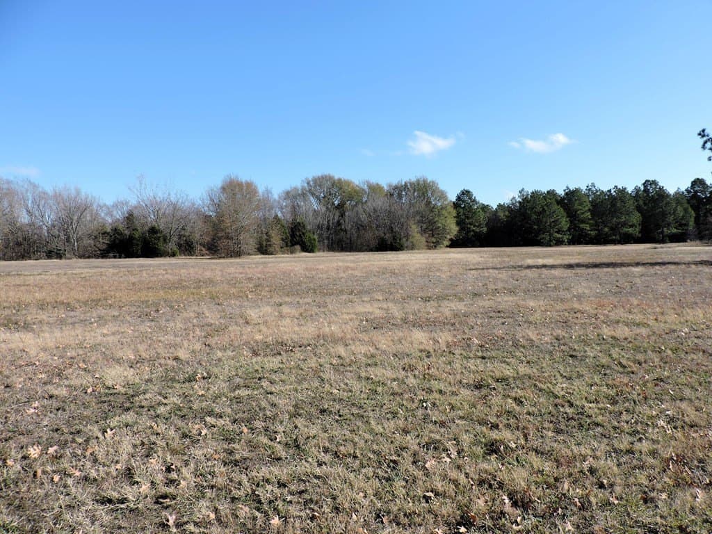 14.12 acres in Henderson County gallery image 3