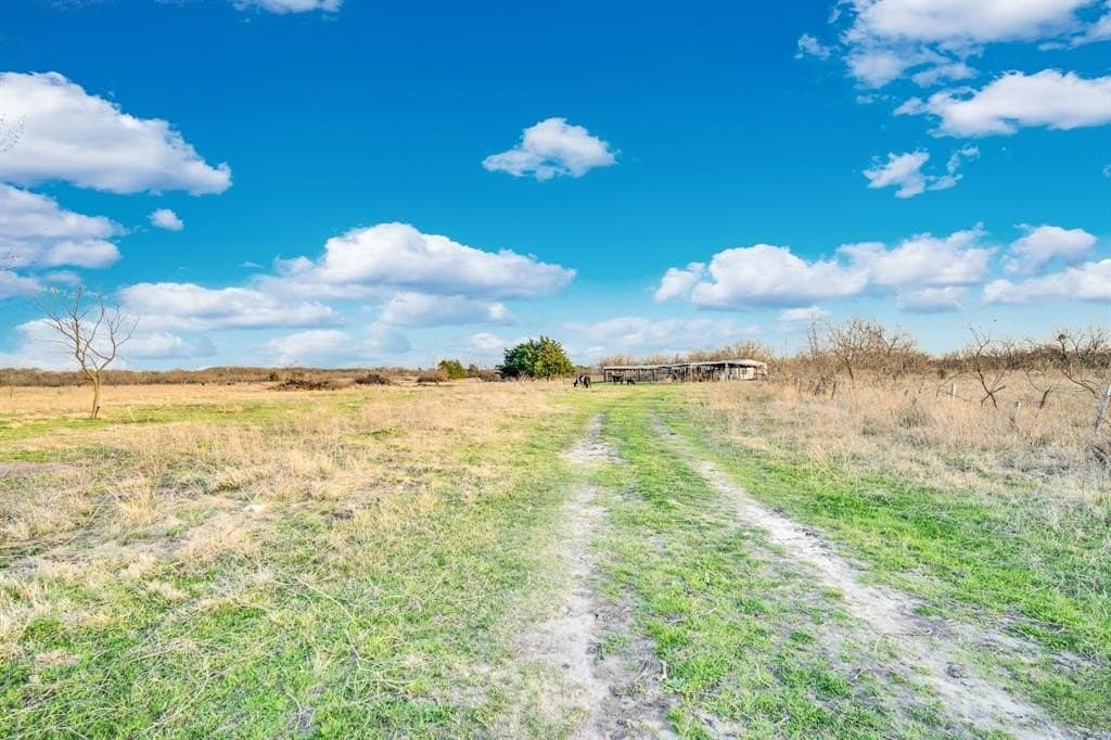 10.1 acres in Navarro County gallery image 3