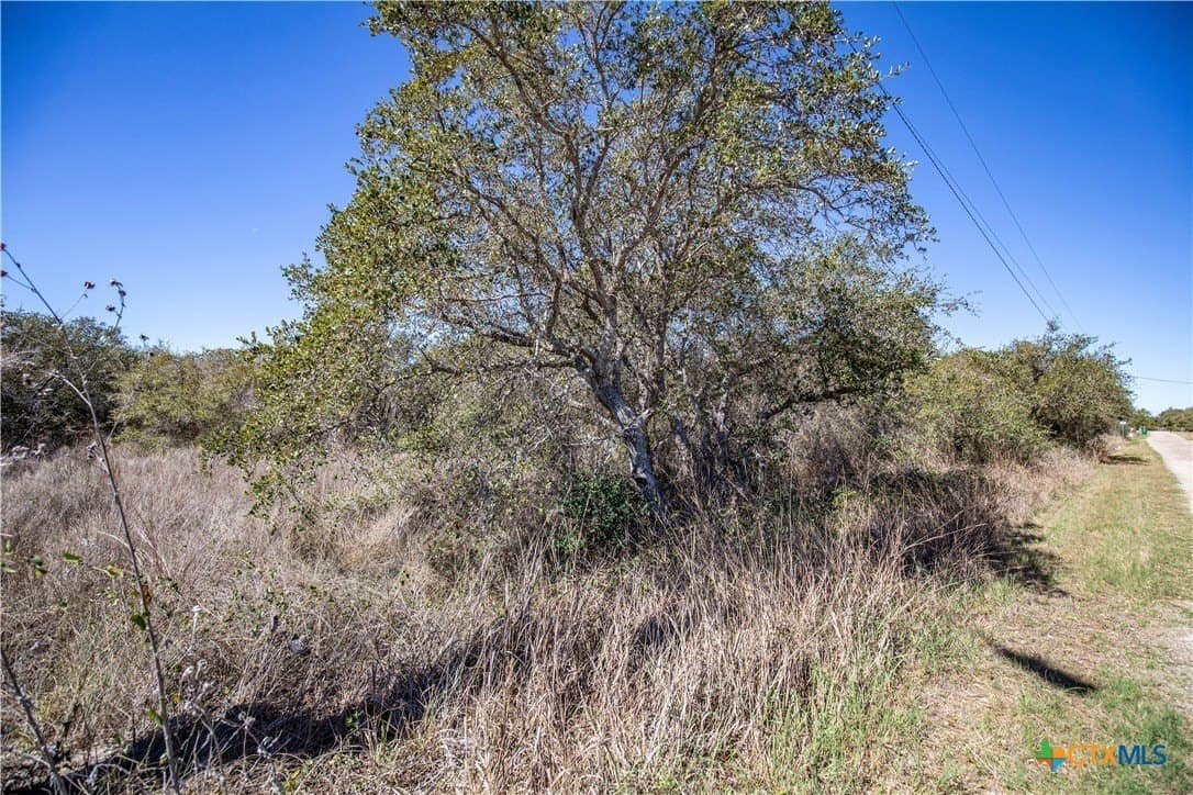 9.91 acres in San Patricio County - photo 28