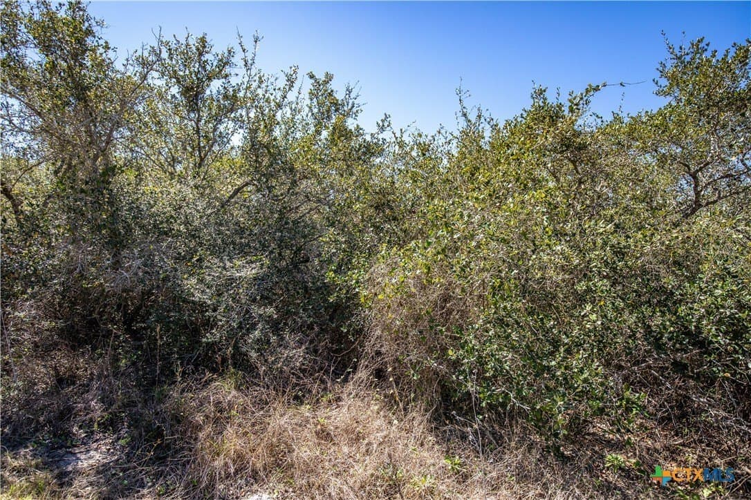 9.91 acres in San Patricio County - photo 35