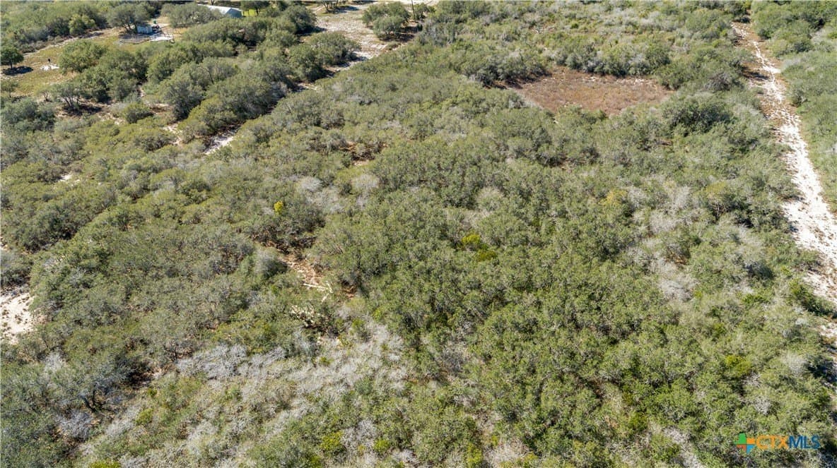 9.91 acres in San Patricio County - photo 7