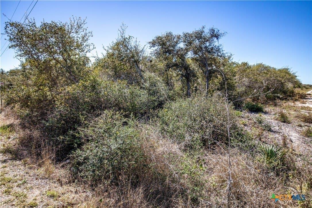 9.91 acres in San Patricio County - photo 32