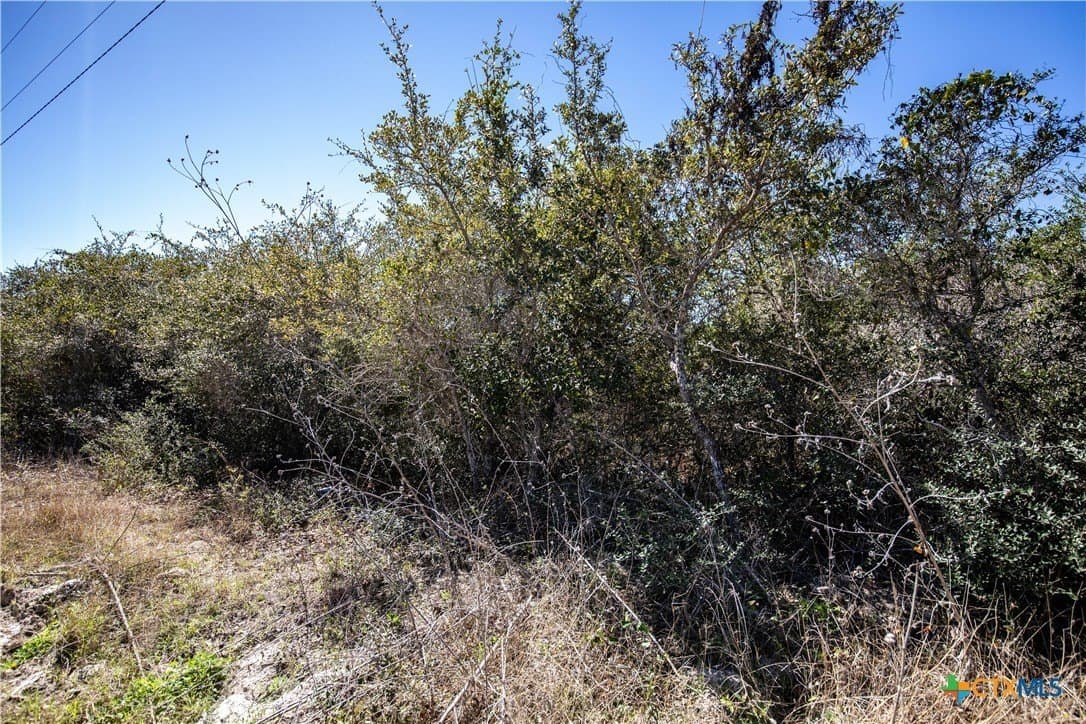 9.91 acres in San Patricio County - photo 34