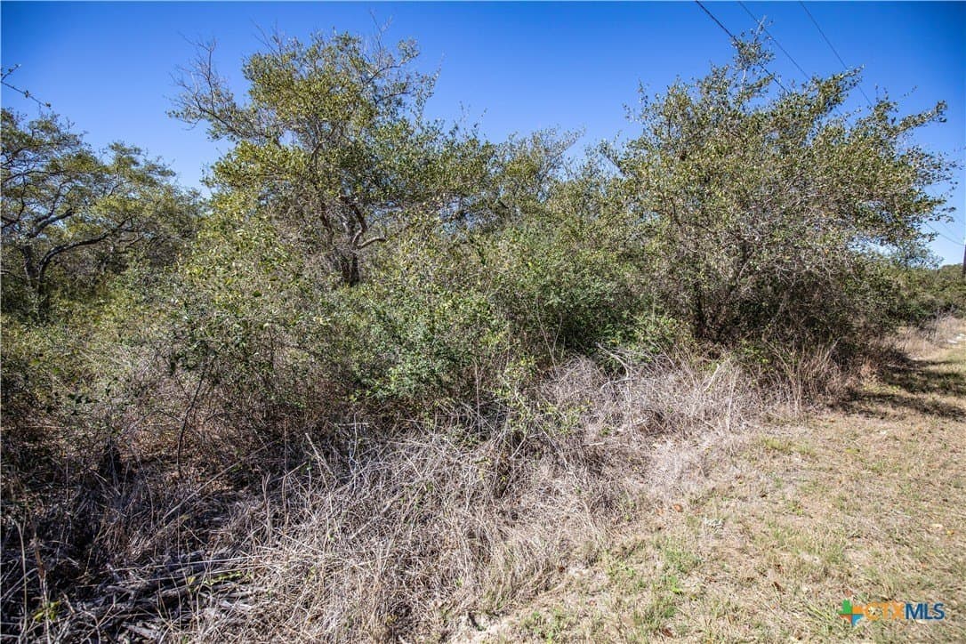 9.91 acres in San Patricio County - photo 29