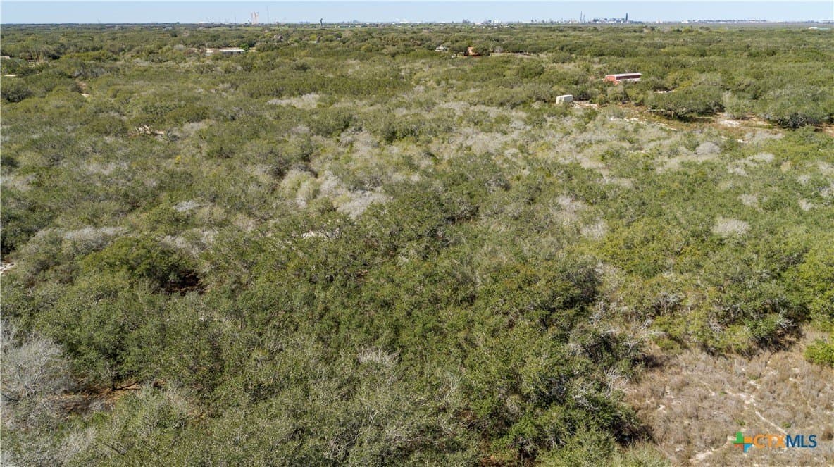 9.91 acres in San Patricio County - photo 17
