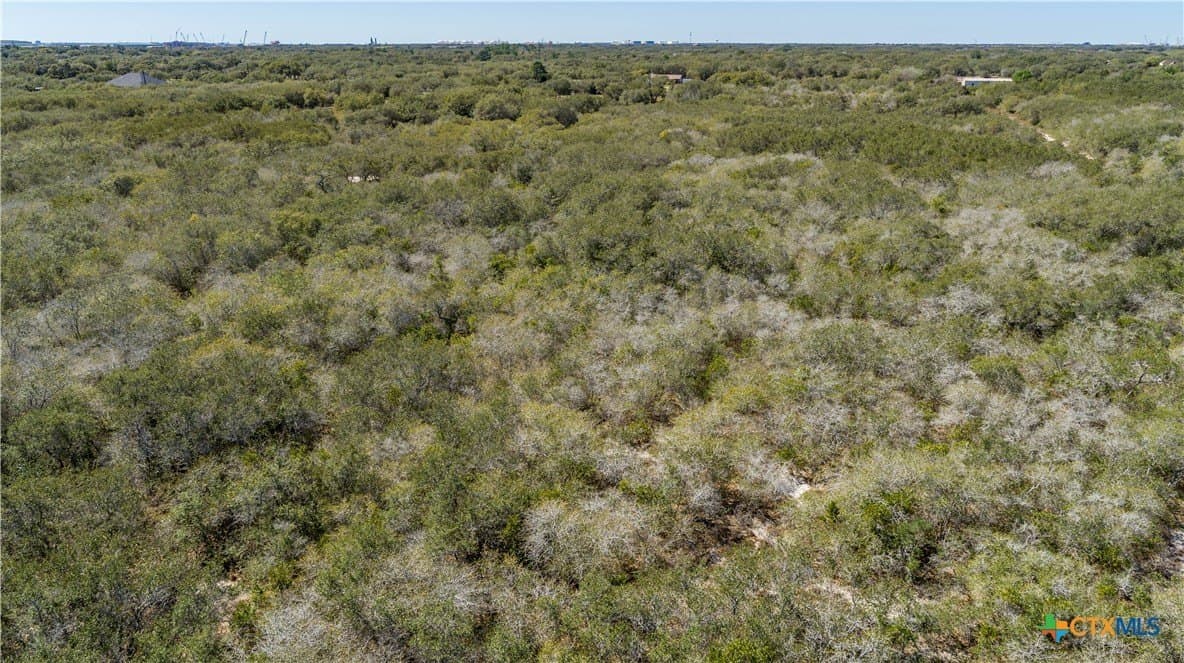 9.91 acres in San Patricio County - photo 20