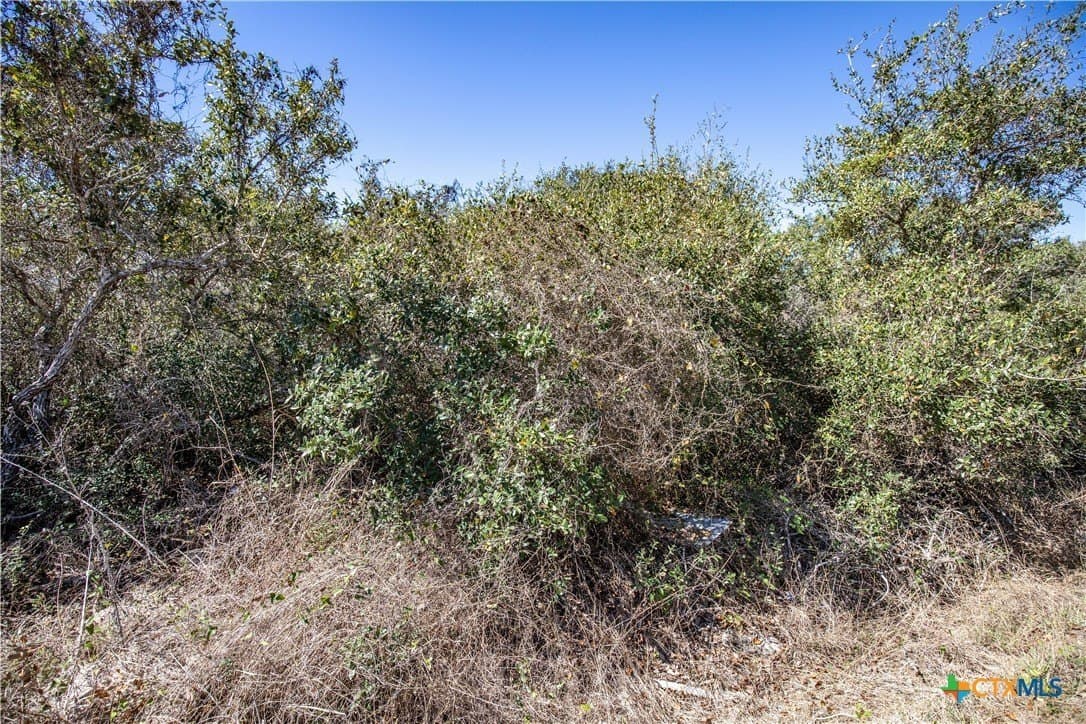9.91 acres in San Patricio County - photo 31