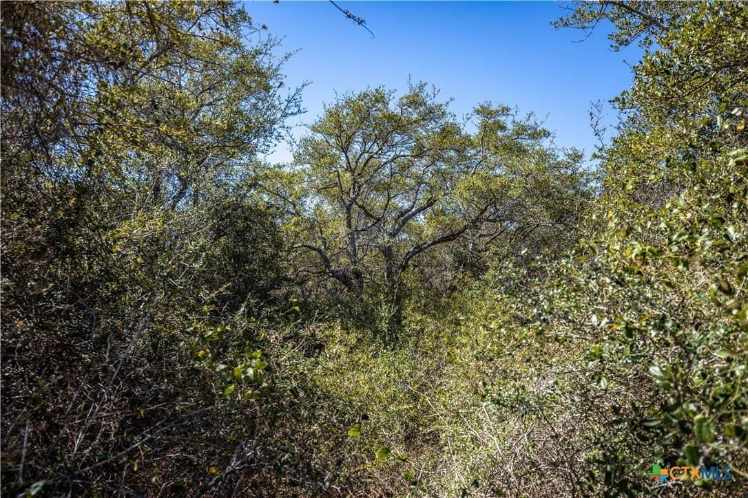 9.91 acres in San Patricio County - photo 36