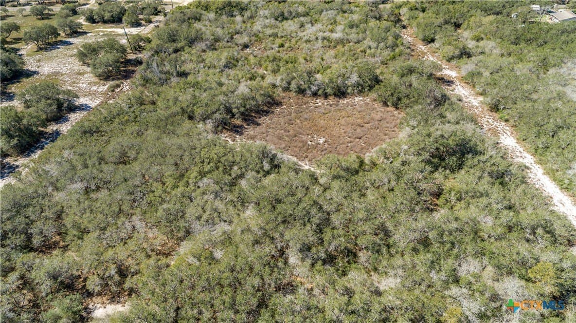 9.91 acres in San Patricio County - photo 8