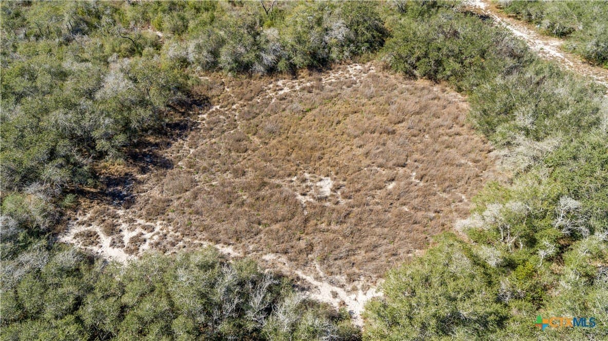 9.91 acres in San Patricio County - photo 9