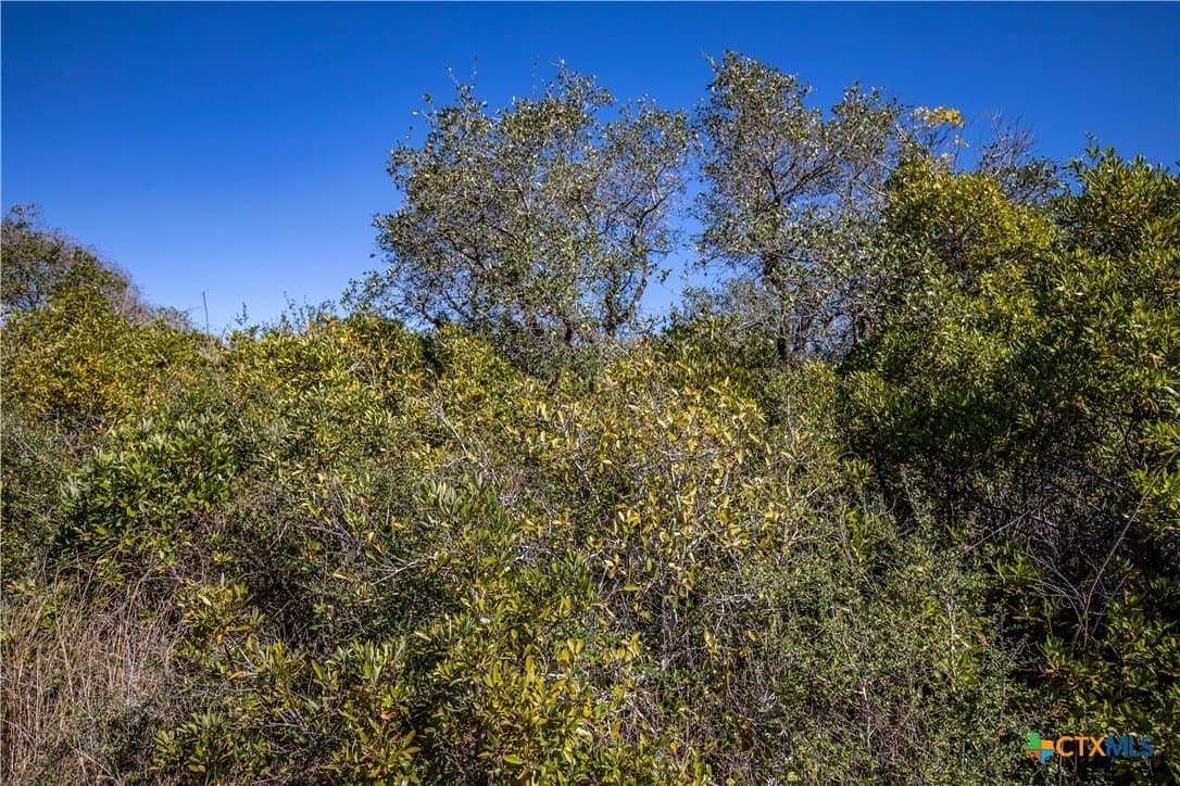 9.91 acres in San Patricio County - photo 25