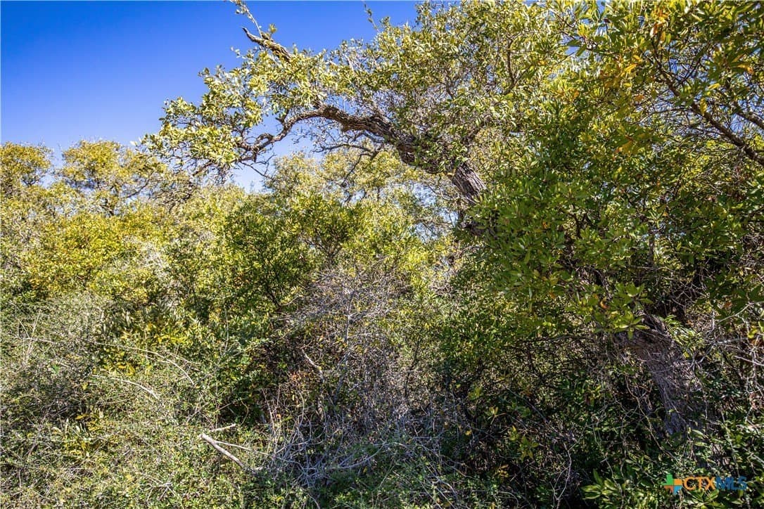 9.91 acres in San Patricio County - photo 24