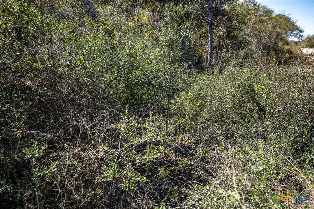9.91 acres in San Patricio County - photo 33