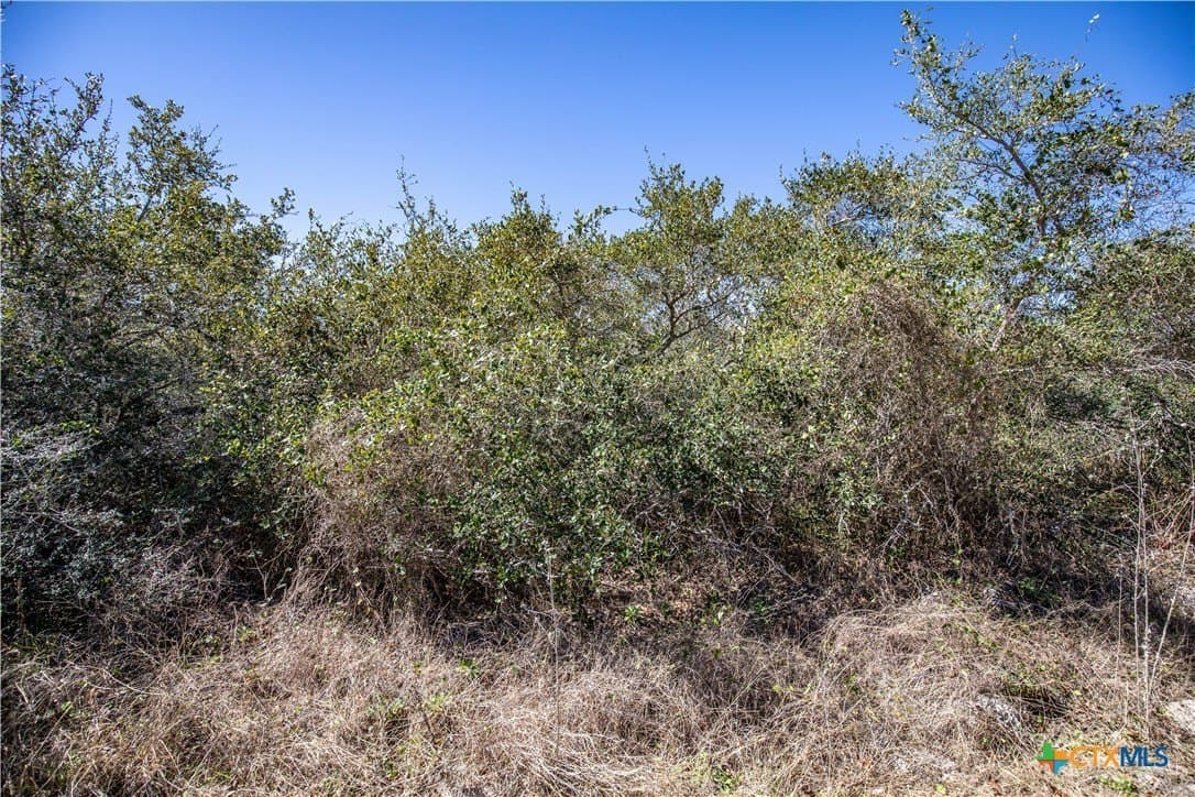 9.91 acres in San Patricio County - photo 30