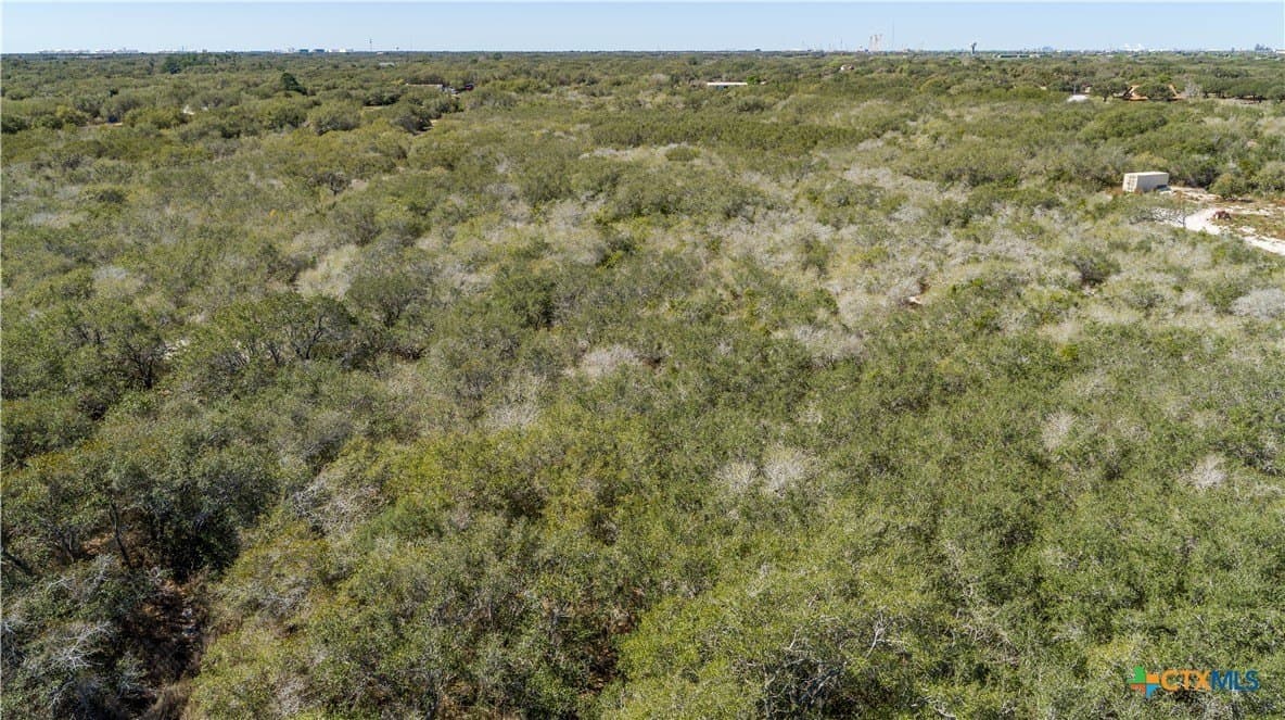 9.91 acres in San Patricio County - photo 19