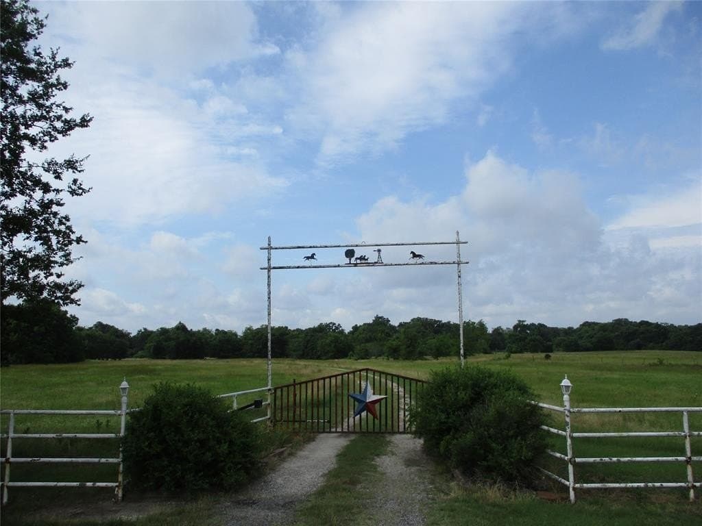 20 acres in Rains County gallery image 2