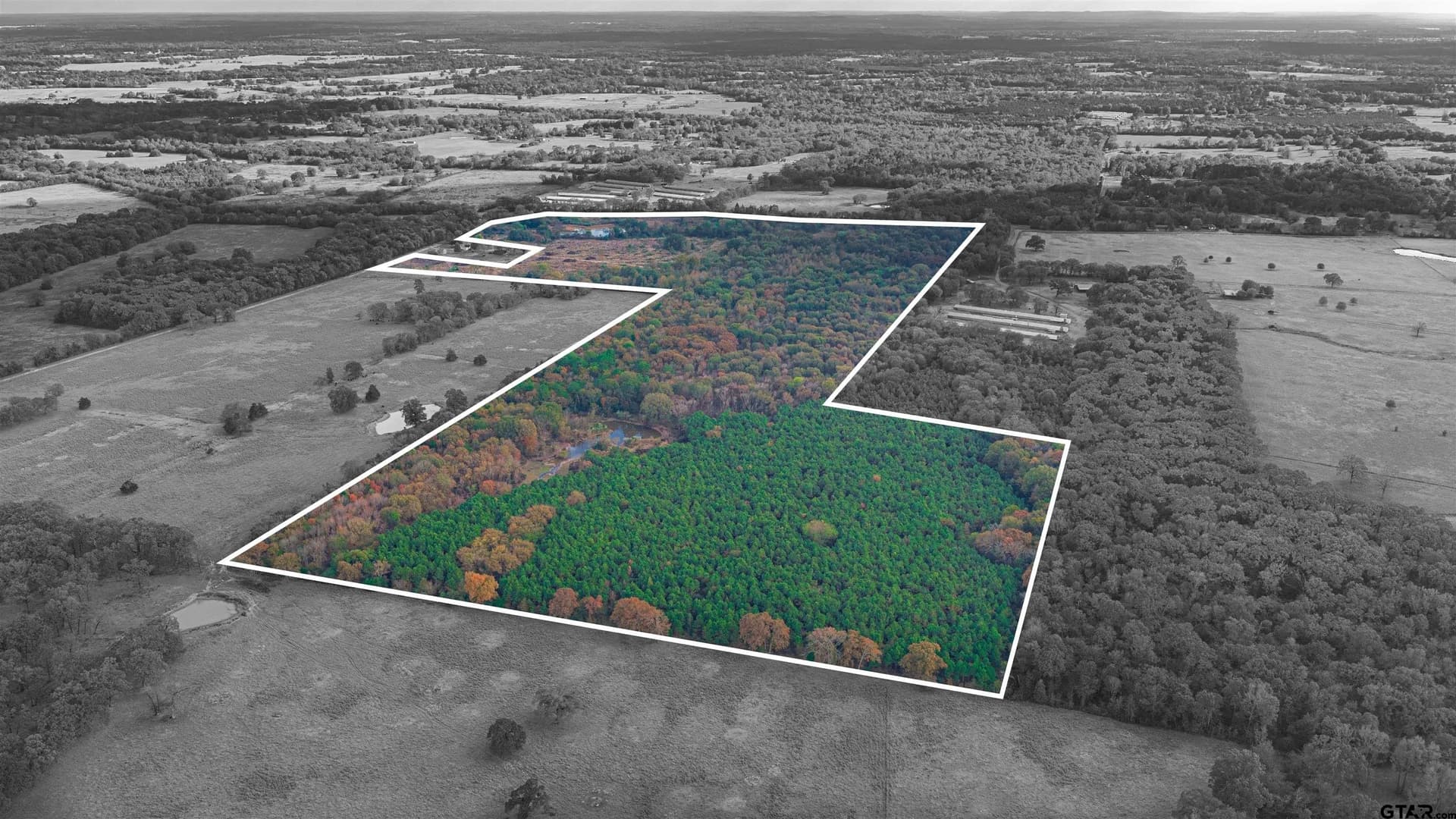 132.87 acres in Morris County gallery image 2
