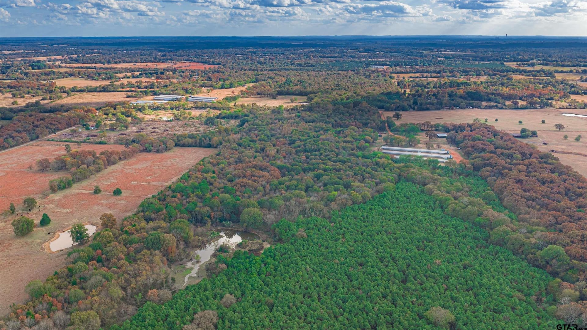 132.87 acres in Morris County gallery image 3