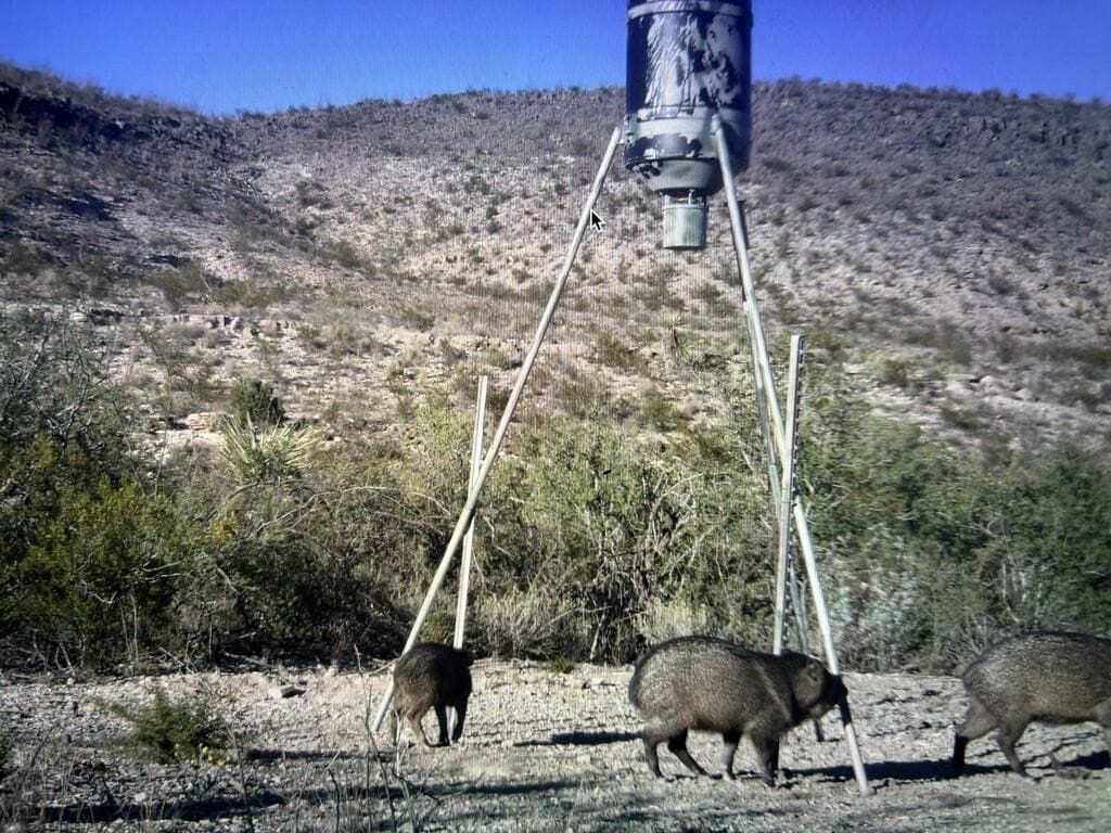 62 acres in Brewster County - photo 35