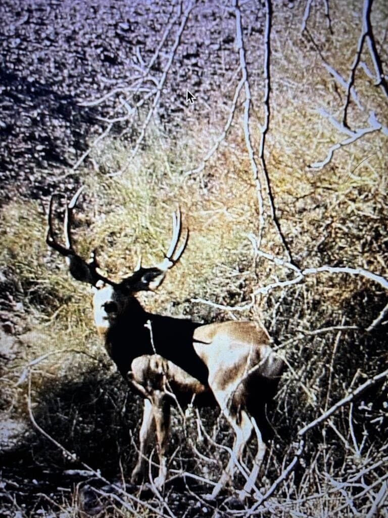 62 acres in Brewster County - photo 29
