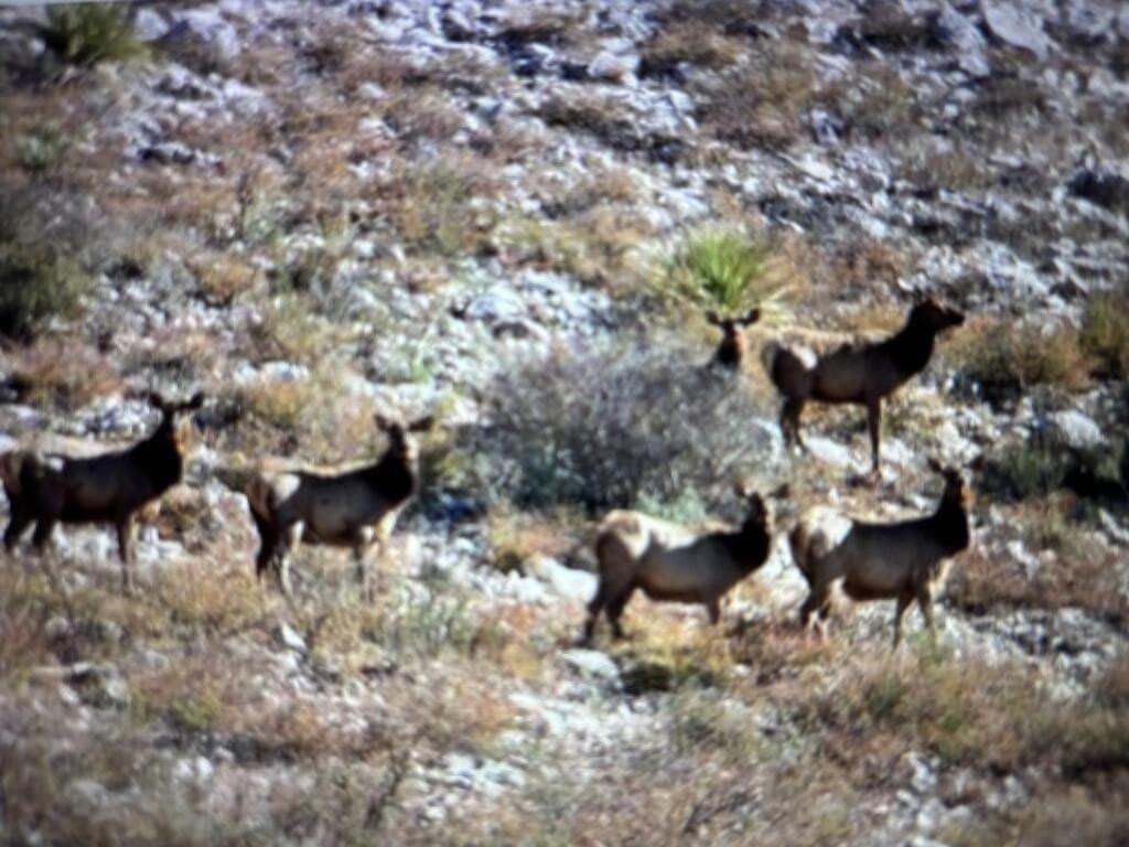 62 acres in Brewster County - photo 32