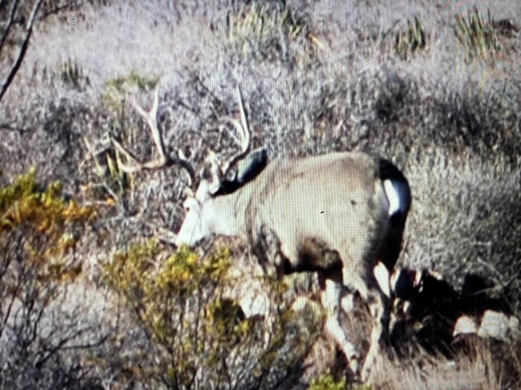 62 acres in Brewster County - photo 31