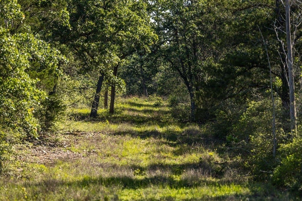 187.09 acres in Fayette County - photo 17